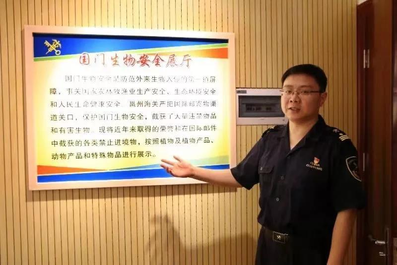 1541496380259340.jpg 8.jpg