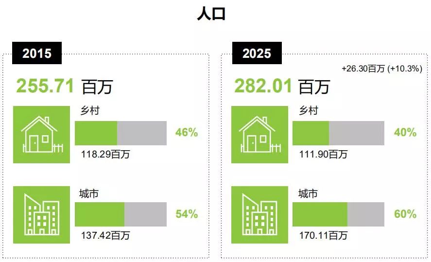 1547110382639336.jpg 4.jpg