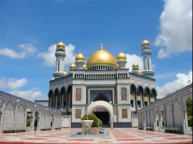 1553151712782965.jpg 1.jpg